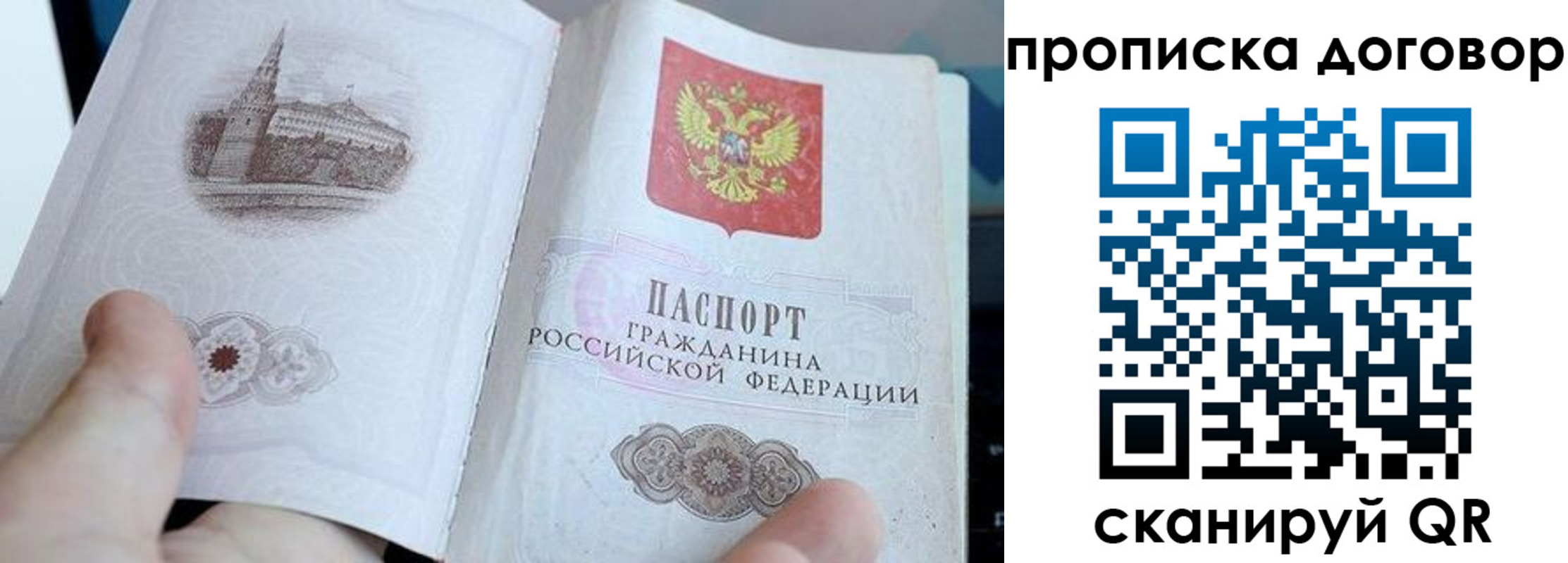 прописка в Могочи